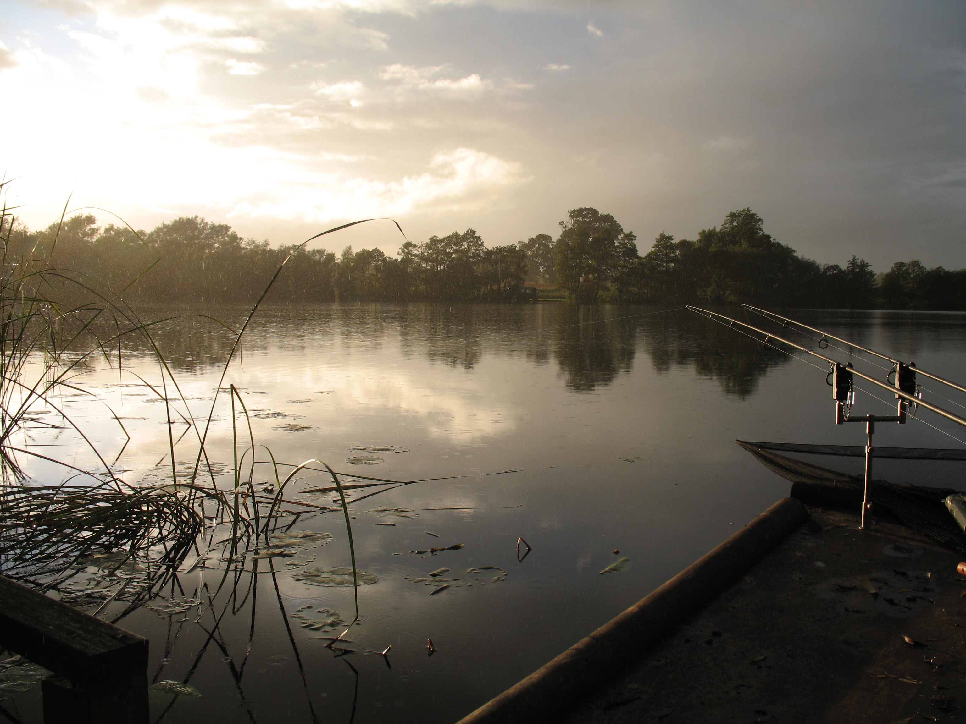 For all the latest happenings at Birch Grove & Mangrove